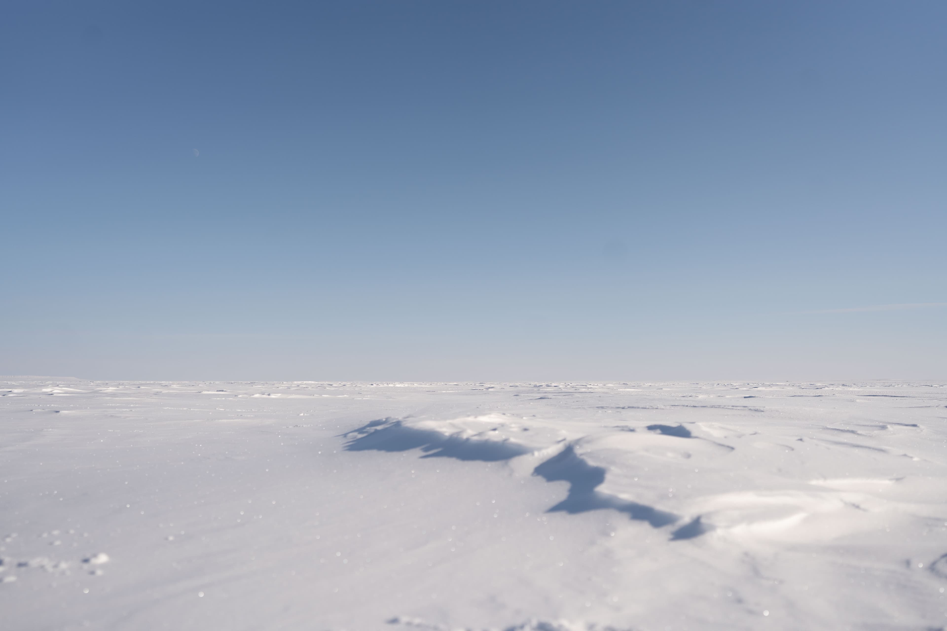 The Robson Expedition — DSC06471 r35kds