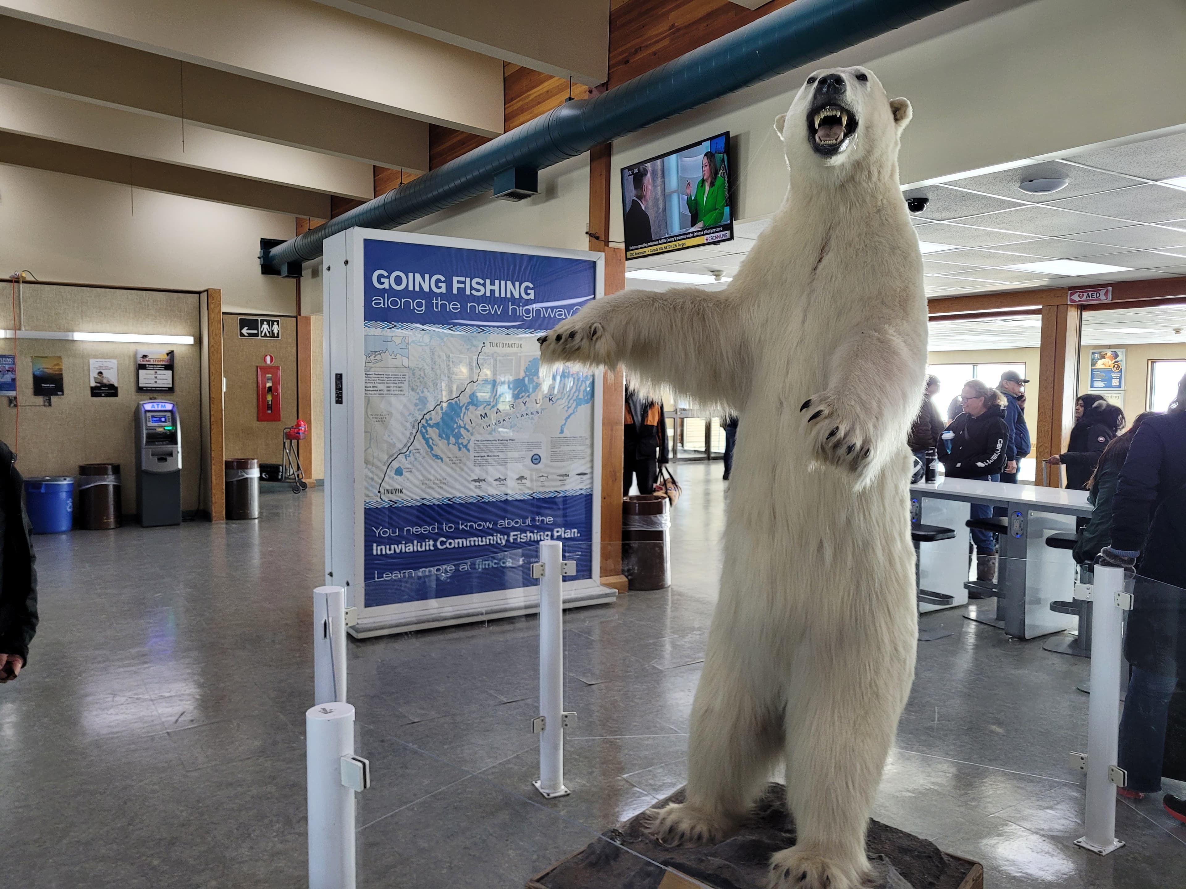 The Robson Expedition — 260329 YEV 1 edc414