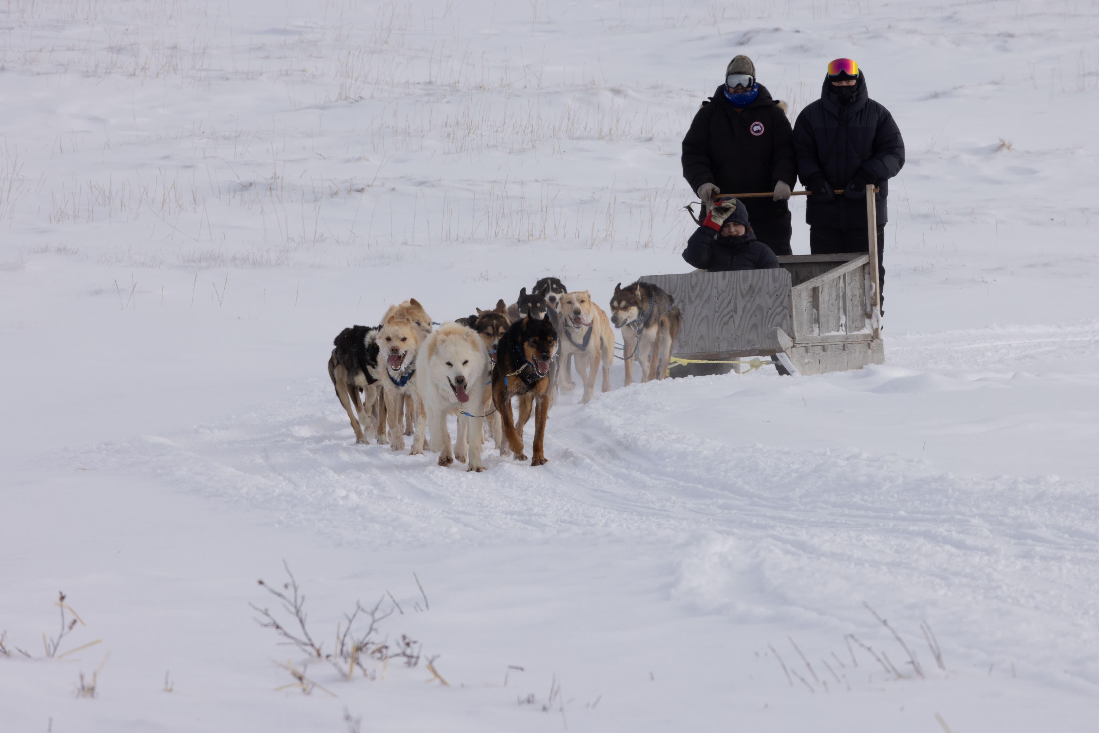 The Robson Expedition — IMG 7365 s2h2c1