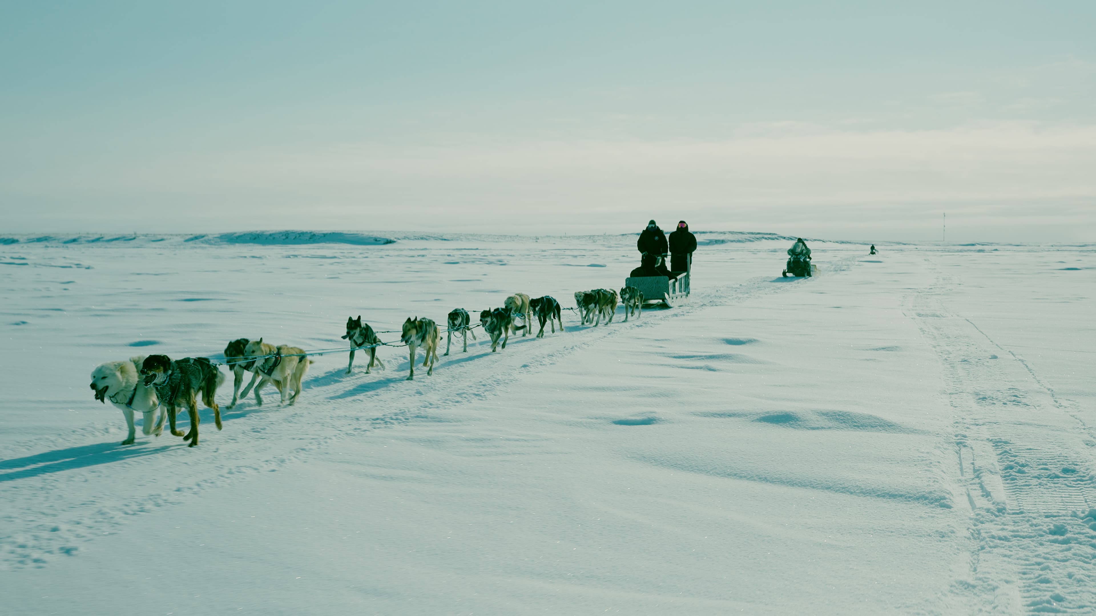 The Robson Expedition — Arctic Stills 22 wm3yhm